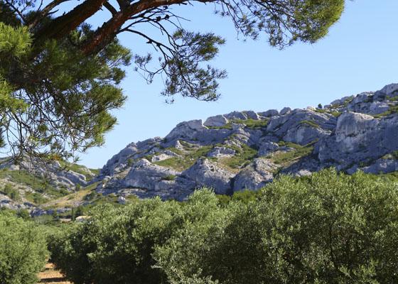 Camping dans les Bouches du Rhône à Noves